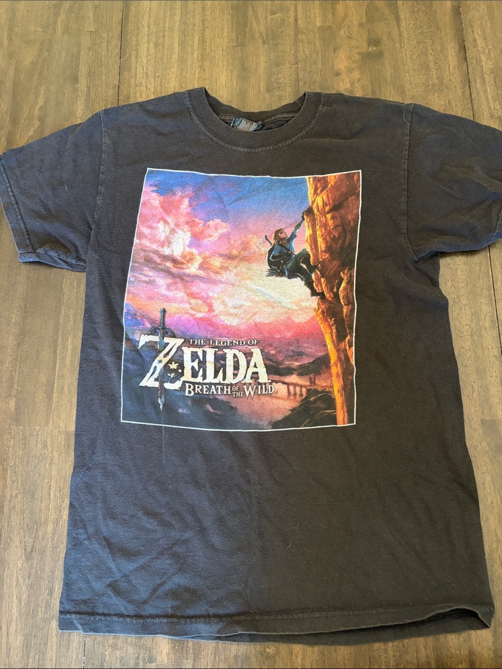 The Legend of Zelda Breath of the Wild Graphic Tee - Black